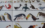 La Ronde des Animaux