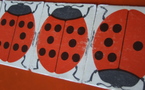 Domino des coccinelles