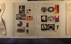 Plastique ludique: Libuše Niklová (1934 - 1981) designer de jouets