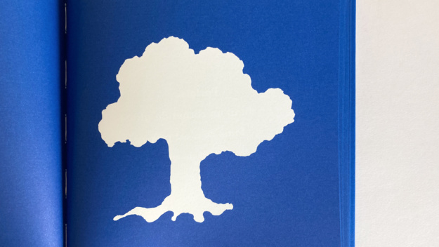 On dirait… On dirait…