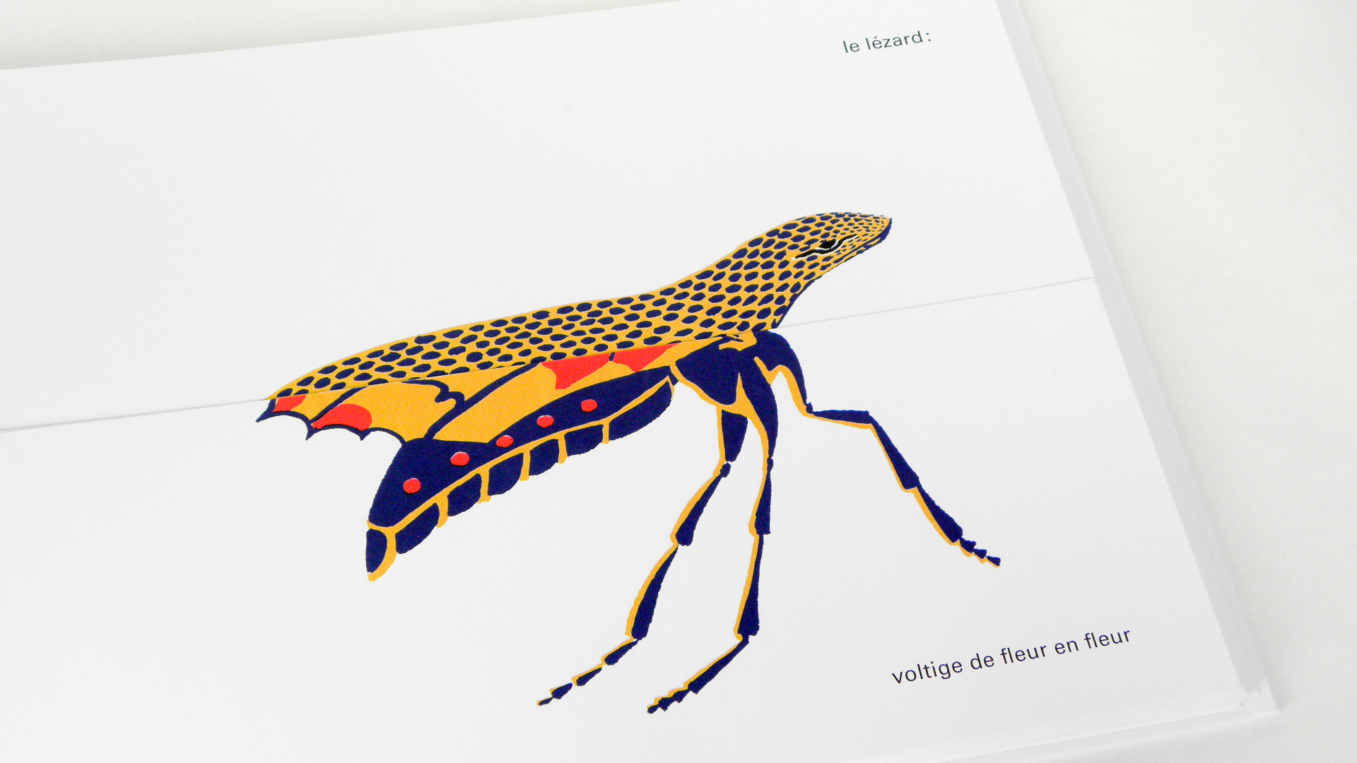 Les Animaux magiques Les Animaux magiques