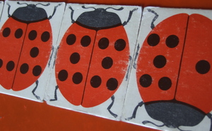 Domino des coccinelles Domino des coccinelles