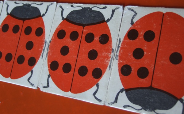 Domino des coccinelles