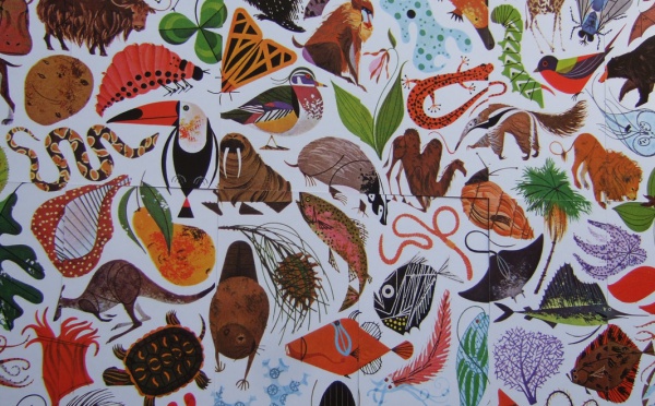 Abécédaire & puzzles Charley Harper
