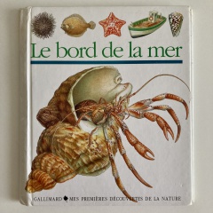 Le Bord de la mer
