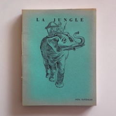 Jungle-5
