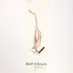 Canard, lumière, ciseaux