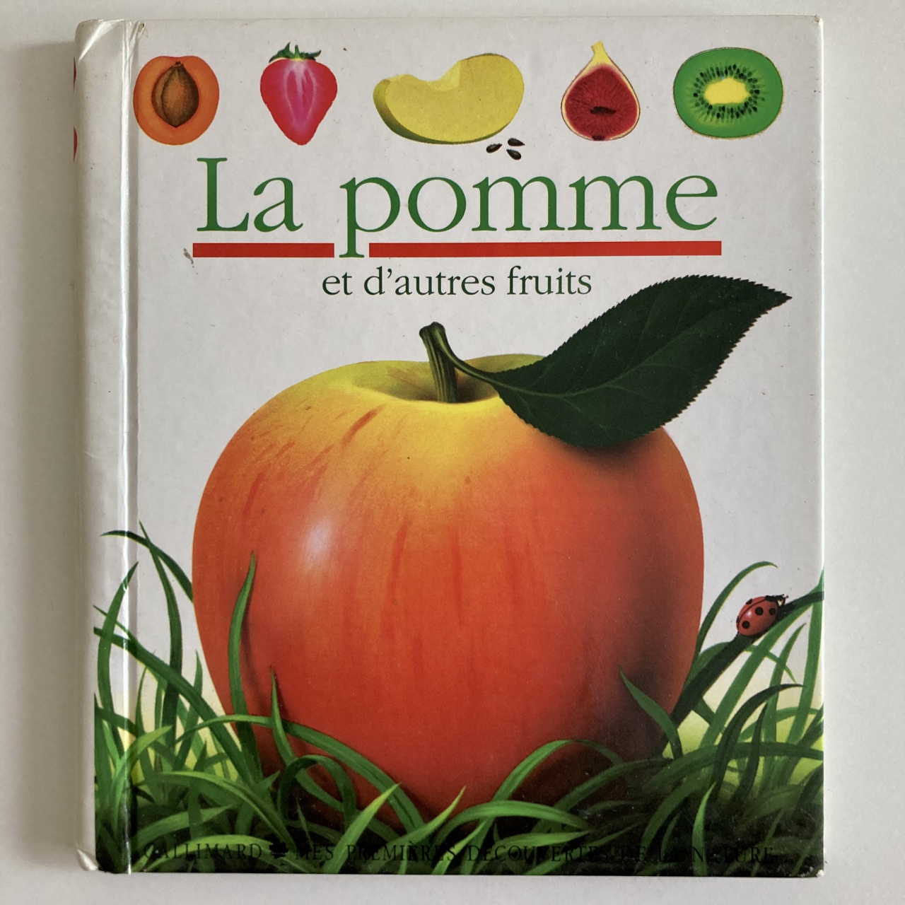 La Pomme Mes Premi res D couvertes Galerie Cligne Cligne Magazine la-pomme-mes-premi-res-d-couvertes-galerie-cligne-cligne-magazine